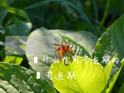 為什么信用卡逾期的人越來越多（信用卡太多沒有逾期）