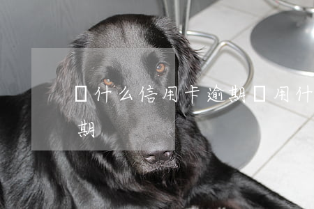 為什么信用卡逾期費用(什么是信用卡嚴重逾期)