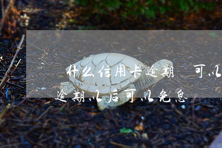 為什么信用卡逾期還可以有減免（建行信用卡逾期以后可以免息嗎）