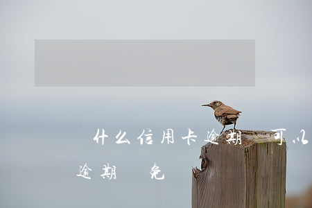 為什么信用卡逾期還可以有減免（建設信用卡逾期減免）