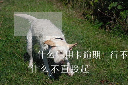 為什么信用卡逾期銀行不起訴（信用卡逾期為什么不直接起訴）