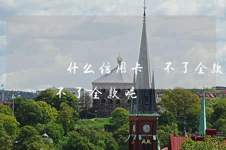 為什么信用卡還不了全款-為什么信用卡還不了全款呢