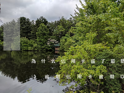 為什么信用卡還了最低還款還說(shuō)逾期（信用卡逾期以后還能最低還款嗎）