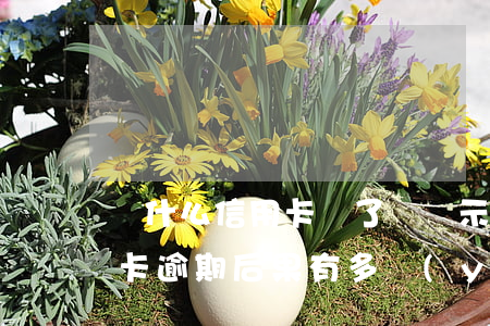為什么信用卡還了還顯示逾期（有魚智還信用卡逾期后果有多嚴(yán)重）