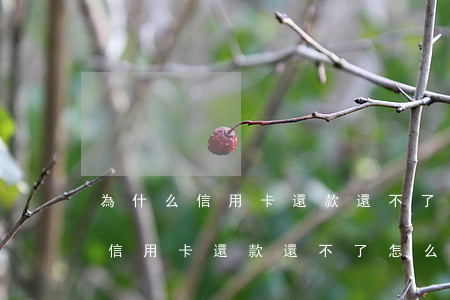 為什么信用卡還款還不了怎么回事-為什么信用卡還款還不了怎么回事呢