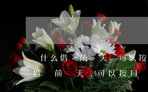 為什么借唄前幾天還可以按月還款-為什么借唄前幾天還可以按月還款呢