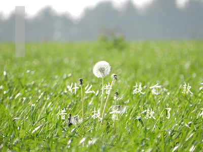 為什么借唄提前還款了還不能用了-為什么借唄提前還款了還不能用了呢