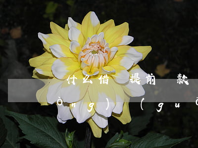 為什么借唄提前還款會(huì)自動(dòng)關(guān)閉-為什么借唄提前還款會(huì)自動(dòng)關(guān)閉了