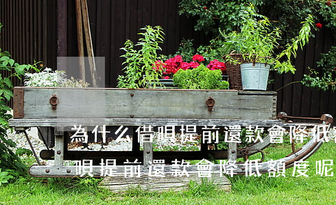 為什么借唄提前還款會降低額度-為什么借唄提前還款會降低額度呢