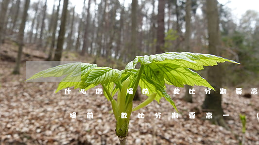 為什么借唄提前還款比分期要高-為什么借唄提前還款比分期要高一點(diǎn)