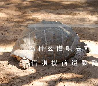 為什么借唄提前還款額度反而降了-為什么借唄提前還款額度反而降了呢