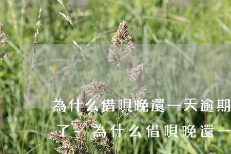 為什么借唄晚還一天逾期就沒(méi)錢了-為什么借唄晚還一天逾期就沒(méi)錢了呢