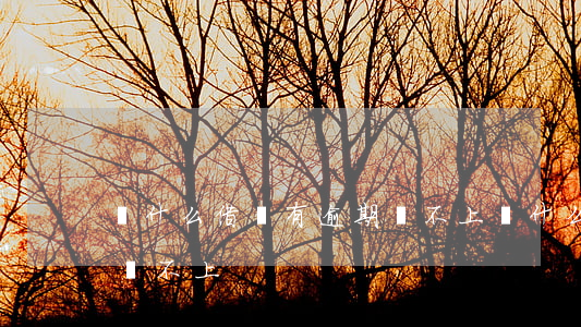 為什么借唄有逾期還不上(為什么借唄有逾期還不上)
