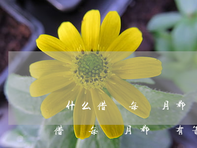 為什么借唄每個月都沒有等額還款-為什么借唄每個月都沒有等額還款了