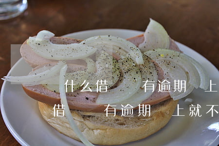 為什么借唄沒有逾期還上就不能用-為什么借唄沒有逾期還上就不能用了呢