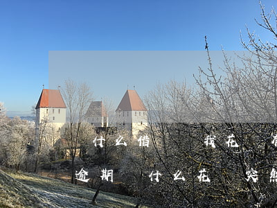 為什么借唄說我花唄有逾期(花唄借唄都沒有逾期,為什么花唄突然停了)