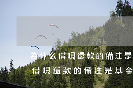 為什么借唄還款的備注是基金申購-為什么借唄還款的備注是基金申購呢