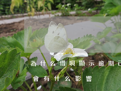 為什么借唄顯示逾期已守約(借唄逾期后守約會有什么影響)