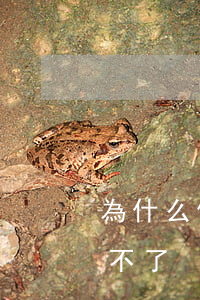 為什么停息掛賬辦不下來-停息掛賬如果還不了