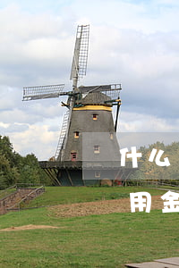 為什么備用金逾期了還款反而少了-為什么備用金逾期了還款反而少了呢