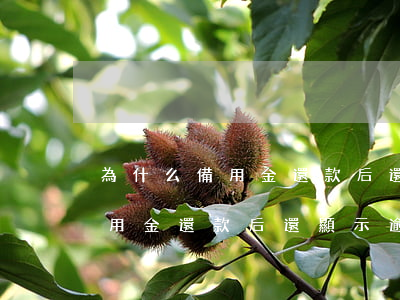 為什么備用金還款后還顯示逾期-為什么備用金還款后還顯示逾期了
