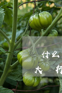 為什么光大信用卡逾期難協(xié)商(光大銀行信用卡還不上怎么協(xié)商)