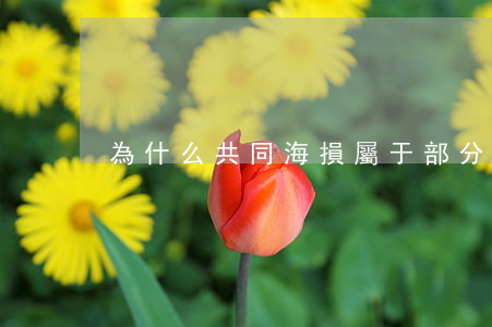 為什么共同海損屬于部分損失