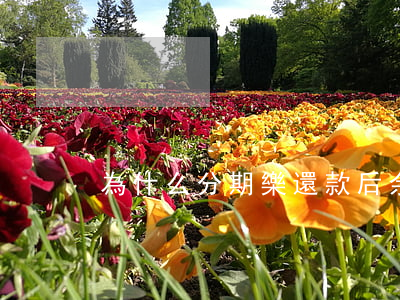 為什么分期樂還款后余額沒有錢-