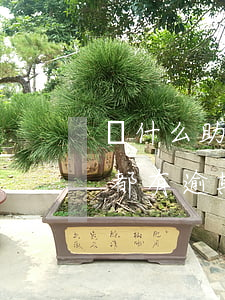 為什么助學(xué)貸款每個(gè)月都有逾期-為什么助學(xué)貸款每個(gè)月都有逾期信息