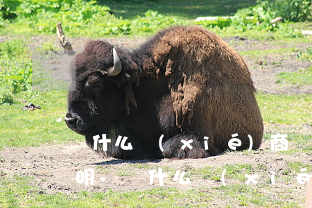 為什么協(xié)商還款一定要辦貧困證明-為什么協(xié)商還款一定要辦貧困證明