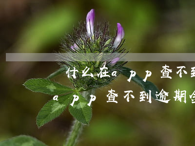 為什么在app查不到逾期金額-為什么在app查不到逾期金額了