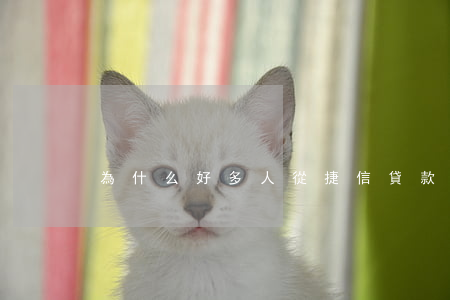 為什么好多人從捷信貸款(捷信貸款可靠嗎)