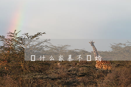 為什么家暴不離婚