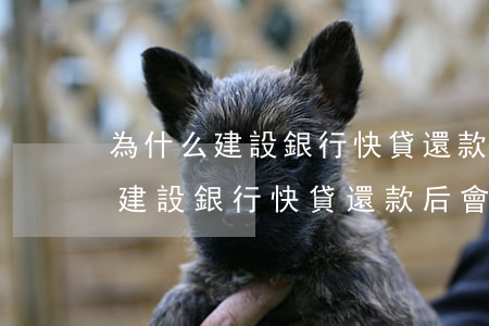 為什么建設銀行快貸還款后會掉額-為什么建設銀行快貸還款后會掉額度