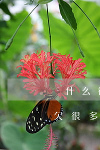 為什么很多人欠網(wǎng)貸不還沒事(欠很多網(wǎng)貸不還有什么后果?)