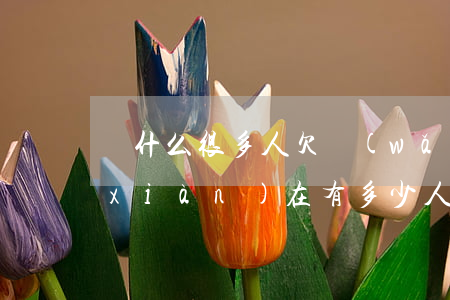 為什么很多人欠網(wǎng)貸不還(現(xiàn)在有多少人欠網(wǎng)貸還不上)