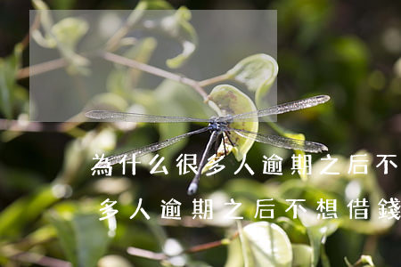 為什么很多人逾期之后不想借錢-為什么很多人逾期之后不想借錢了