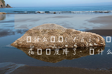 為什么從來(lái)沒(méi)有逾期花唄額度降了-為什么從來(lái)沒(méi)有逾期花唄額度降了呢