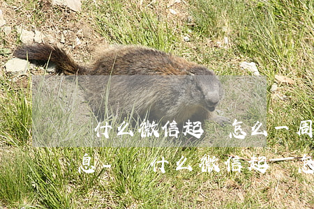 為什么微信起訴怎么一周沒(méi)有消息-為什么微信起訴怎么一周沒(méi)有消息呢