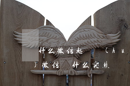 為什么微信起訴會(huì)凍結(jié)(微信為什么突然凍結(jié),還是法院起訴)
