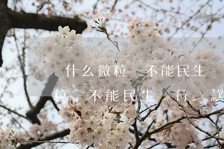 為什么微粒貸不能民生銀行還款-為什么微粒貸不能民生銀行還款呢