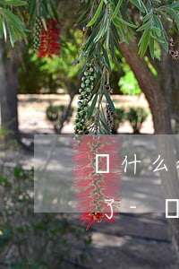為什么微粒貸按時(shí)還款再借不了了-為什么微粒貸按時(shí)還款再借不了了呢
