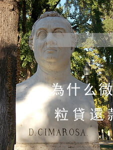 為什么微粒貸還款后不能再借了-為什么微粒貸還款后不能再借了呢