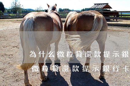 為什么微粒貸還款提示銀行卡限額-為什么微粒貸還款提示銀行卡限額了
