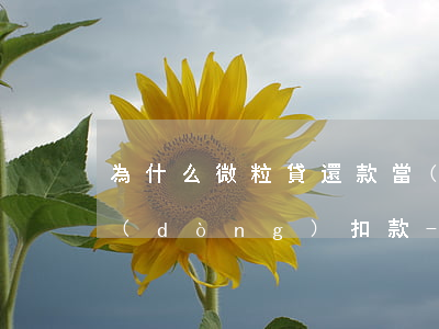 為什么微粒貸還款當(dāng)日不自動(dòng)扣款-為什么微粒貸還款當(dāng)日不自動(dòng)扣款了