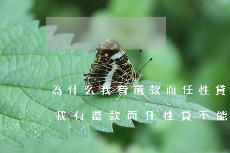 為什么我有還款而任性貸不能使用-為什么我有還款而任性貸不能使用了