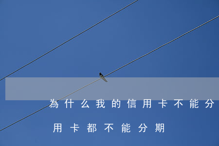 為什么我的信用卡不能分期了(為什么我的信用卡都不能分期)