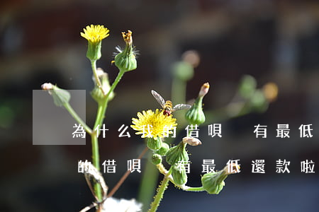 為什么我的借唄沒有最低還款啦-為什么我的借唄沒有最低還款啦呢