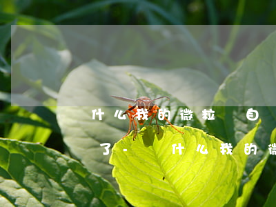 為什么我的微粒貸自動(dòng)還款失敗了-為什么我的微粒貸自動(dòng)還款失敗了呢