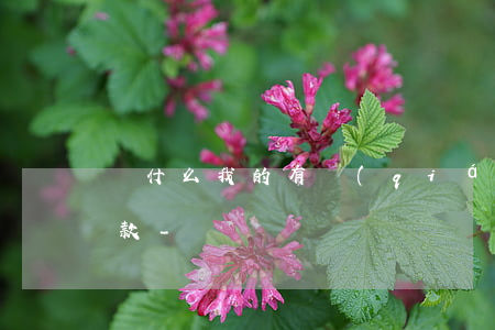 為什么我的有錢(qián)花不能提前還款-